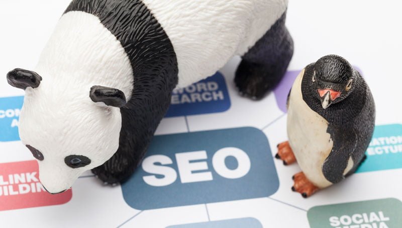 Google SEO Penguen ve Panda